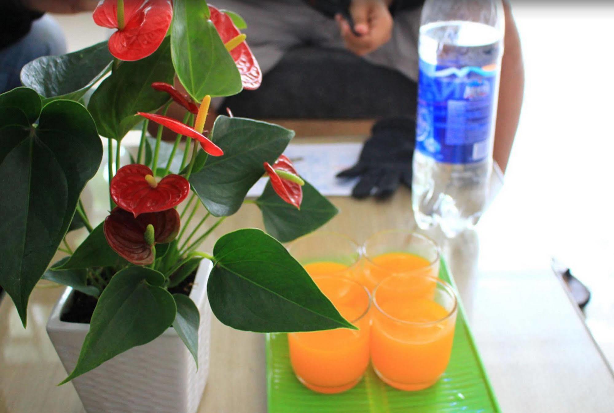 Memority & Spa Hoi An