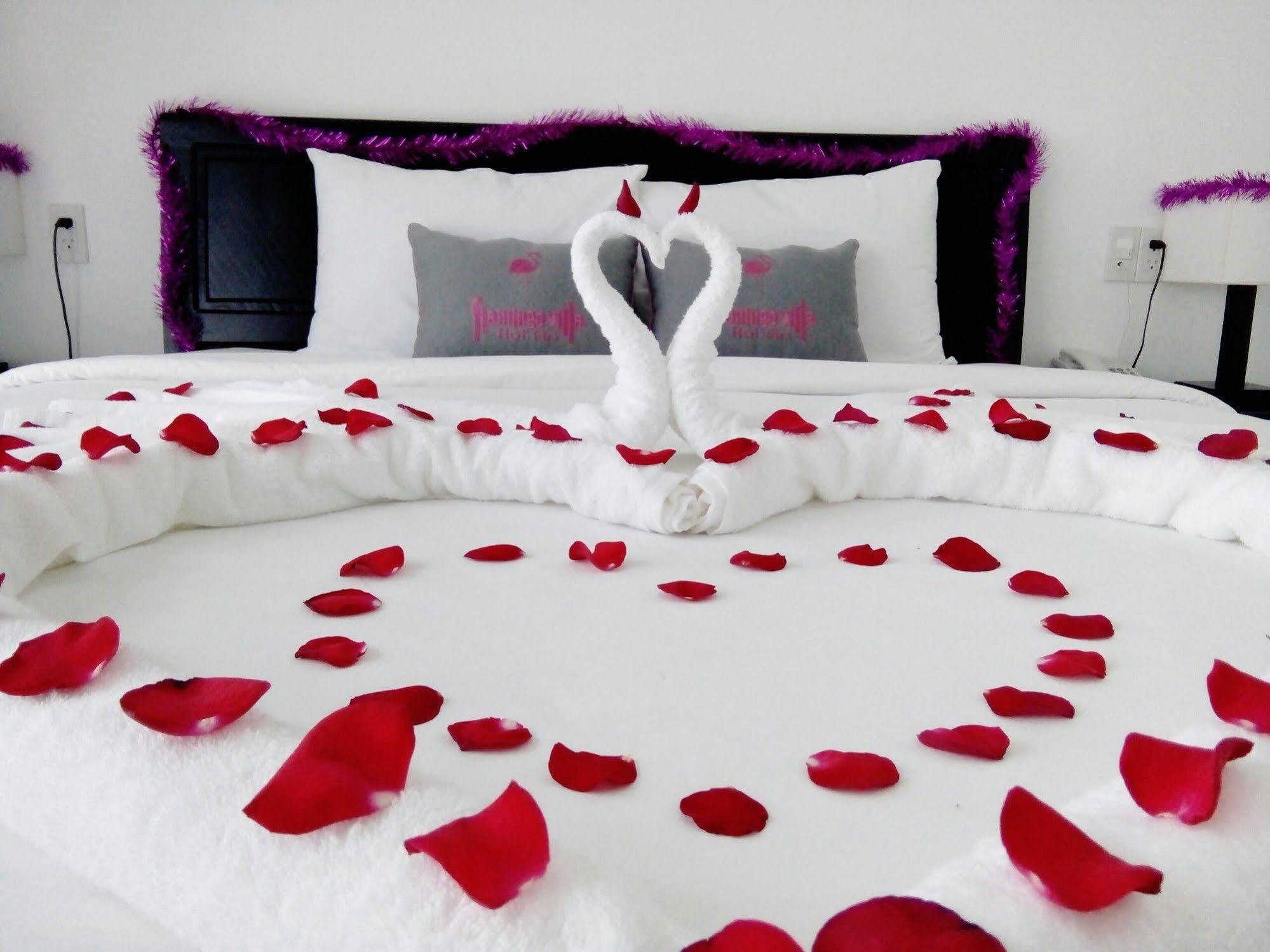 Pousada Flamingo - Big With Balcony - Close To Old Town 200m & Temple Bridge - Large Outside Pool For Sun Bathing