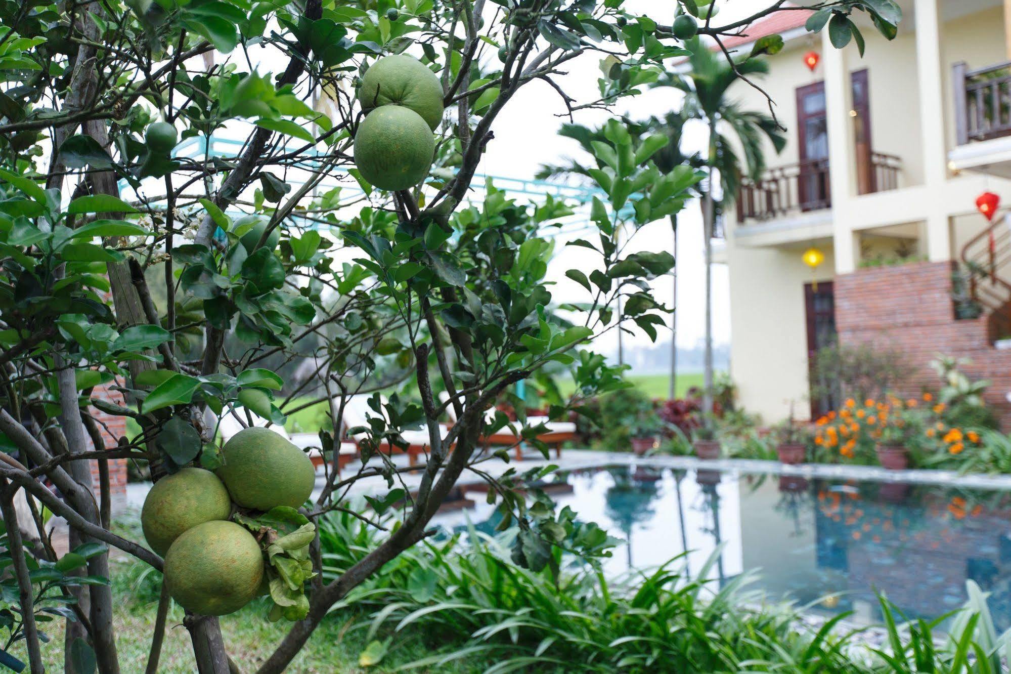 Villa Lama Villa Hoi An