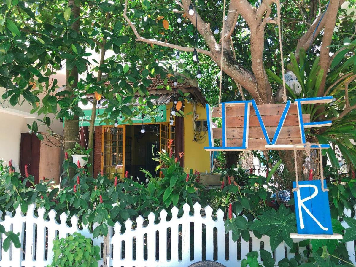 Homestay Longan *