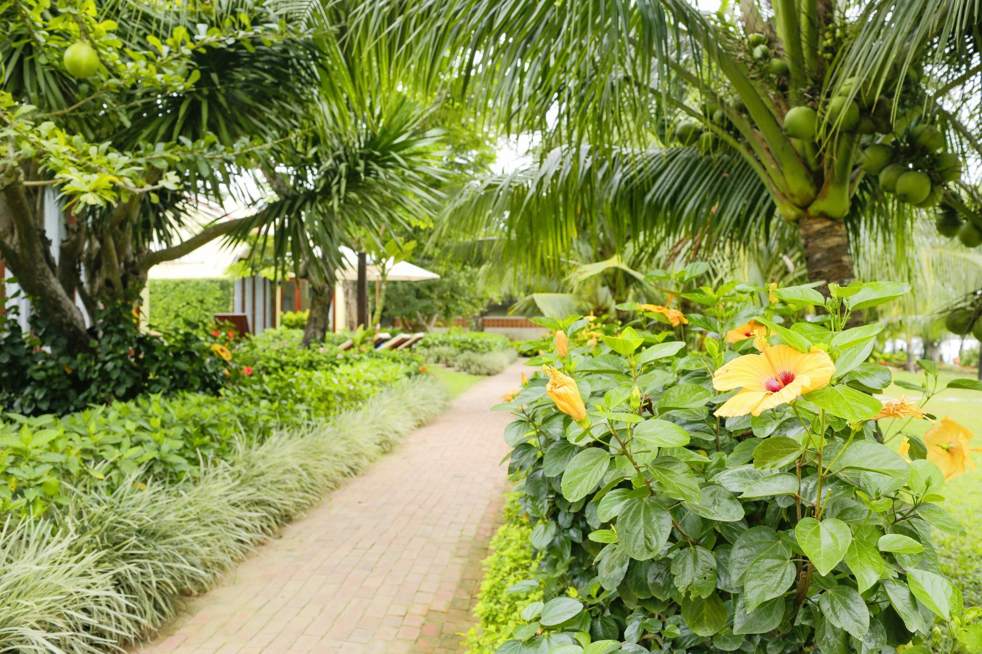 Mulberry Collection Silk Marina Imperial Wing Hotel Hoi An