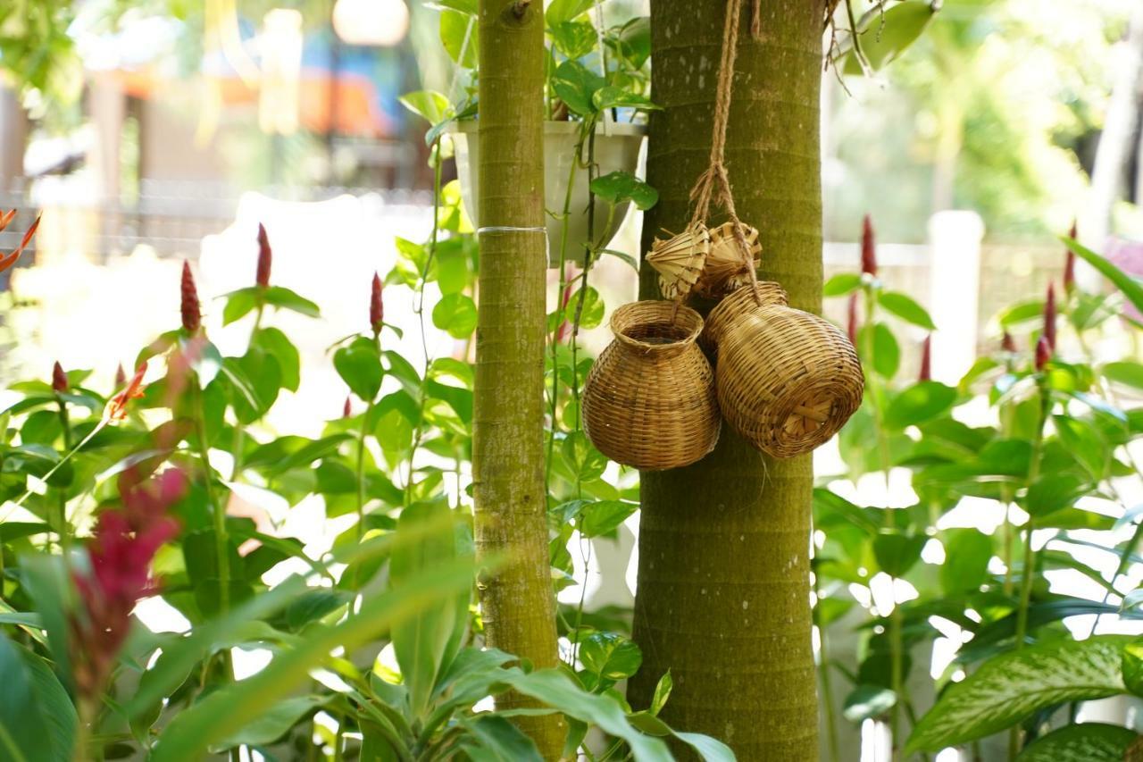 Longan