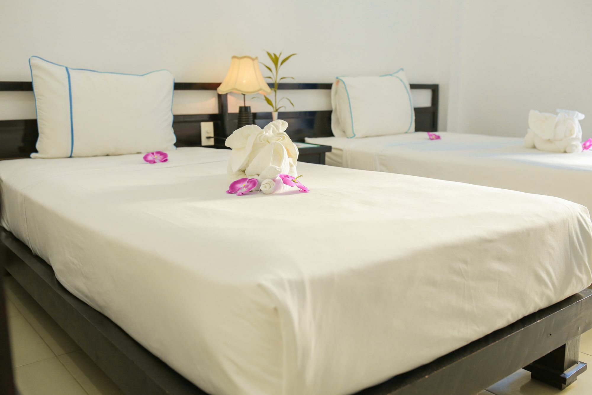 An Hoi Hotel Hoi An