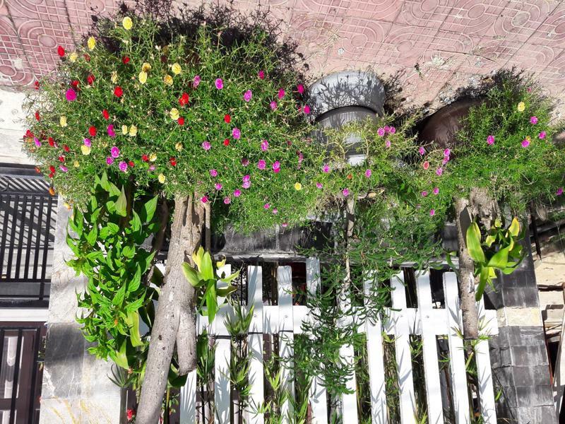 The House 36 * Hoi An