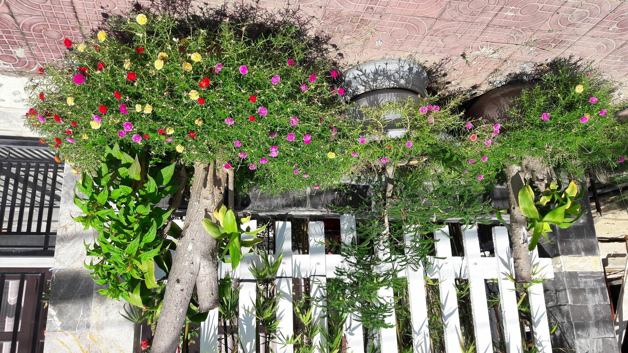 The House 36 Homestay Hoi An
