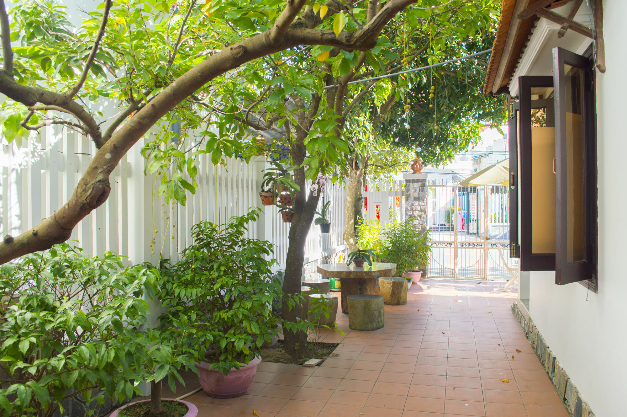 Halo Homestay Hoi An
