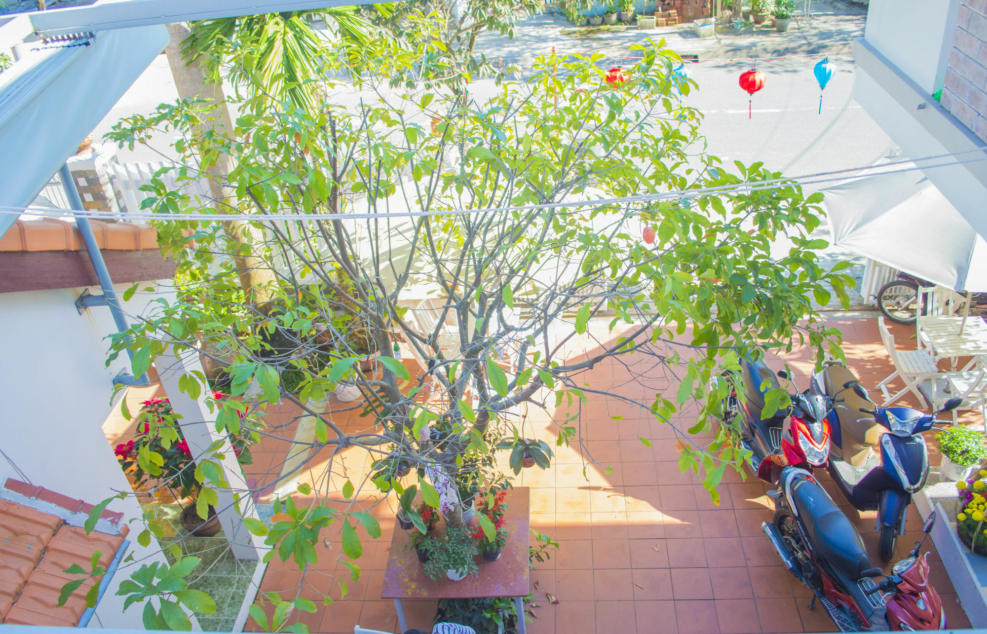Homestay Halo Hoi An