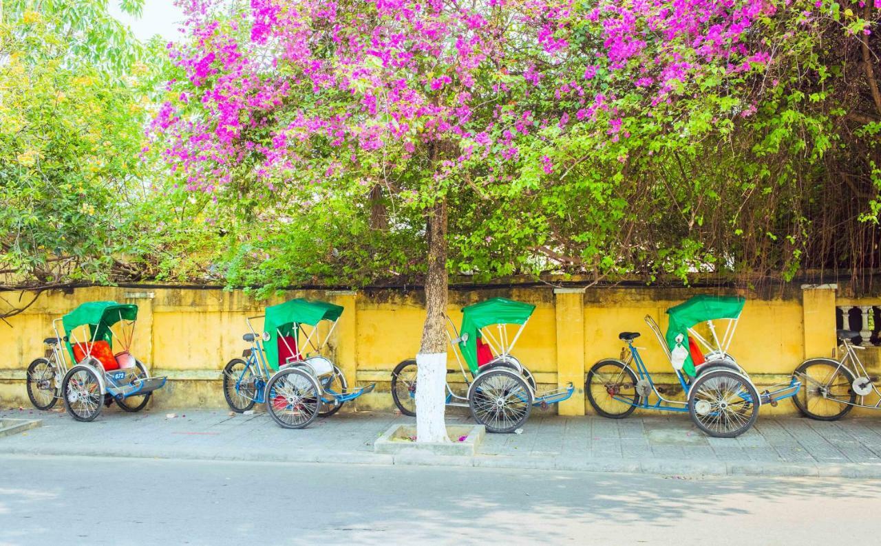 Homestay Homestay Song Hoai 250M Walk To The Center Old Town