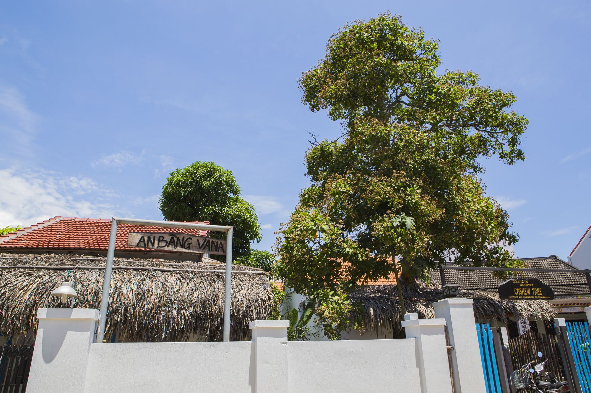 Bed & Breakfast Cashew Tree Hoi An