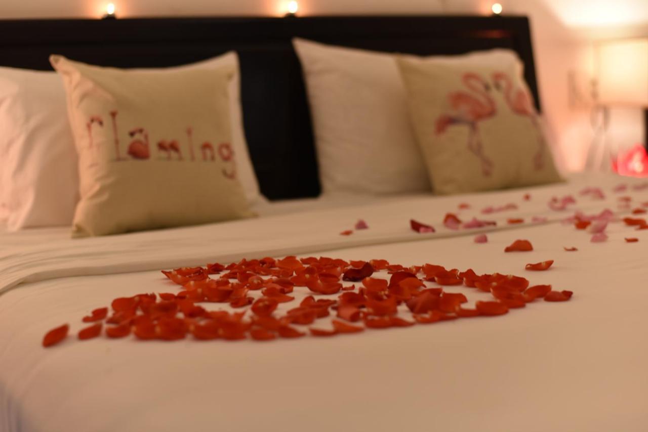 Flamingo - Big With Balcony - Close To Old Town 200m & Temple Bridge - Large Outside Pool For Sun Bathing Pousada *