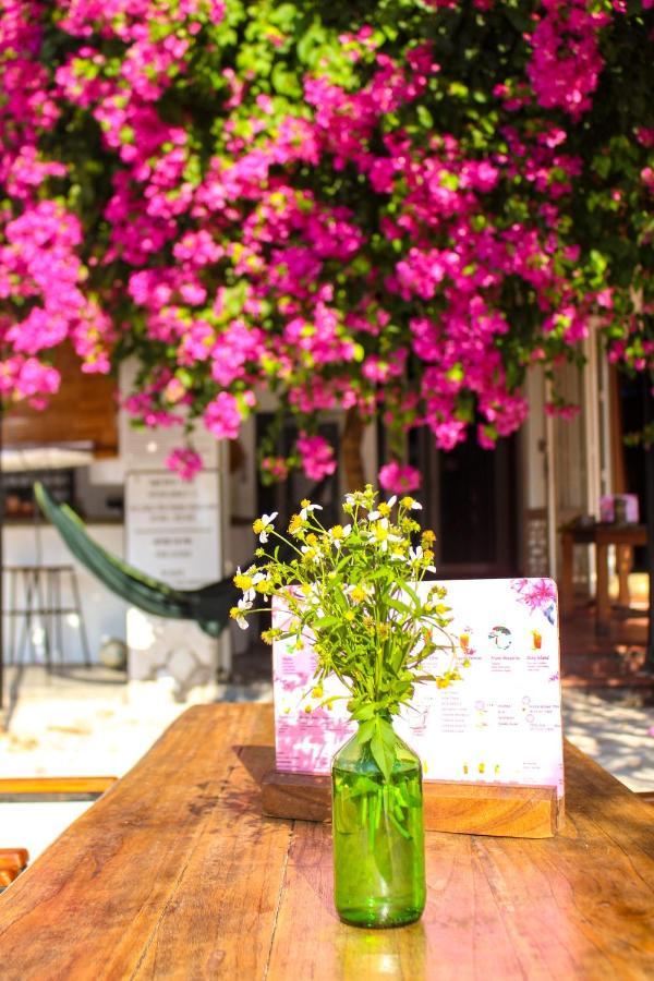 Villa Cococha Villa-1001 Insta Photos (adults Only) *